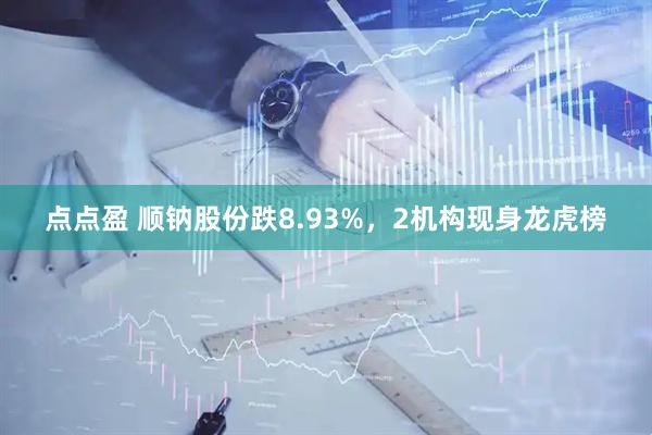 点点盈 顺钠股份跌8.93%，2机构现身龙虎榜