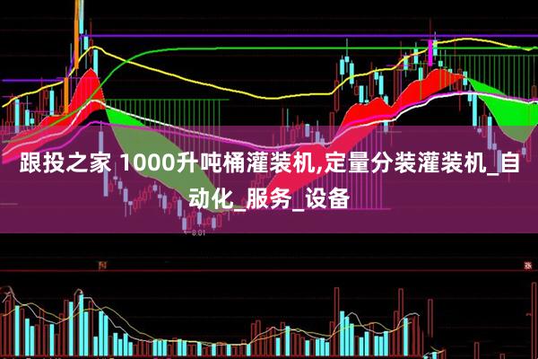 跟投之家 1000升吨桶灌装机,定量分装灌装机_自动化_服务_设备