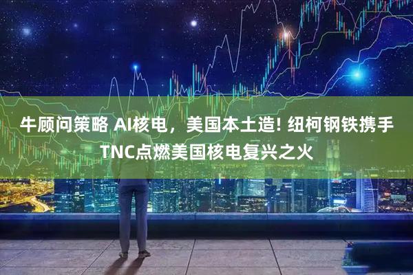 牛顾问策略 AI核电，美国本土造! 纽柯钢铁携手TNC点燃美国核电复兴之火
