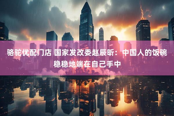 骆驼优配门店 国家发改委赵辰昕：中国人的饭碗稳稳地端在自己手中